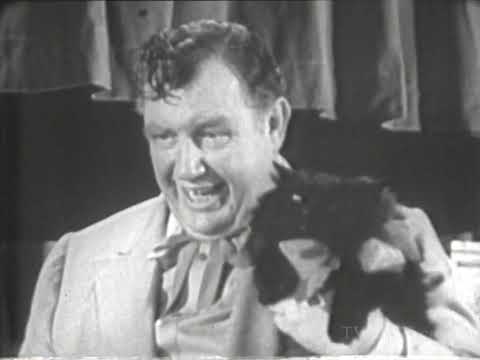 Andy's Gang with War Bonnet