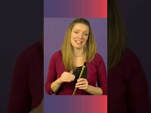 For Absolute Beginners - Your FIRST 🥇Tin Whistle Course - EASY!