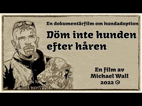 Dokumentärfilm om Jimmy och Neringa som hjälper till med adoptioner av gatuhundar från Litauen.