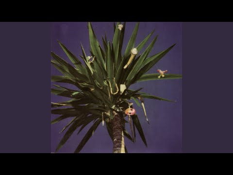 Going to Bristol - The Mountain Goats