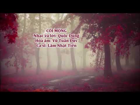 Cõi mộng - Lâm Nhật Tiến