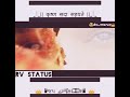 New Gaman Santhal Vijay Suvada Whatsapp Status Gokul Na Girdhari Rv Status