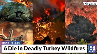 6 Die in Deadly Turkey Wildfires