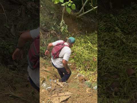 Acc!dente vía Valencia-San Pedro de Uraba😨 #noticias #shorts #colombia
