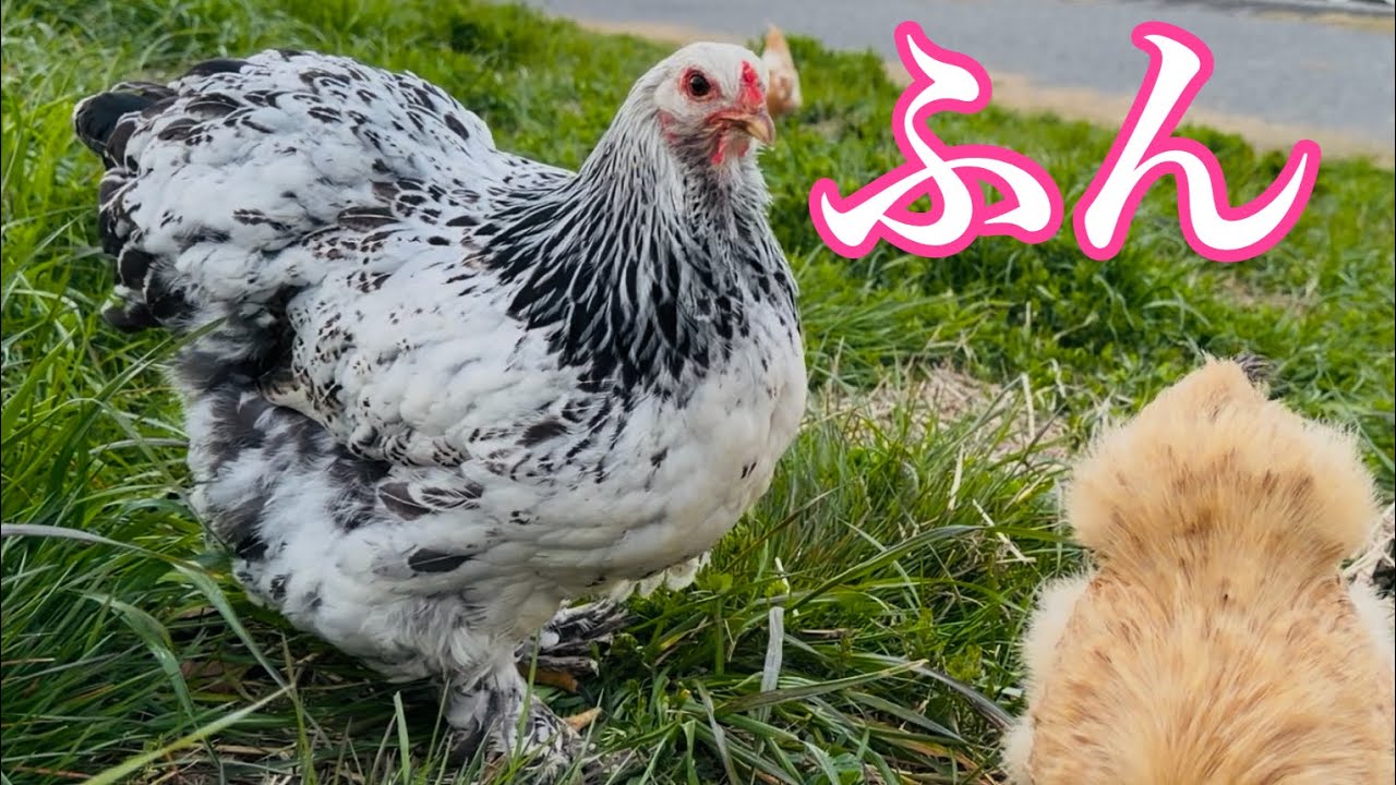 【悲報】パパは年頃の娘に嫌がられました（涙）