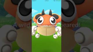 レディバ ポケットモンスター コロモリ グラードン ケムッソ