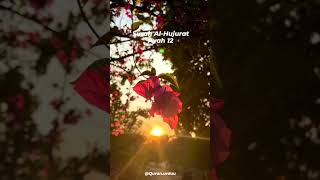 Download lagu Surah Al Hujurat Ayat 12 l #ramzan #ramzanmubarak #quran #surat @alquranalkareemchannel8094 mp3