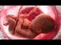Santhanagopala Gayathri Mantra Mantras For The Fetus Mantras To Chant During Pregnancy