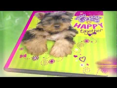 Cuadernos Dogs de Norma