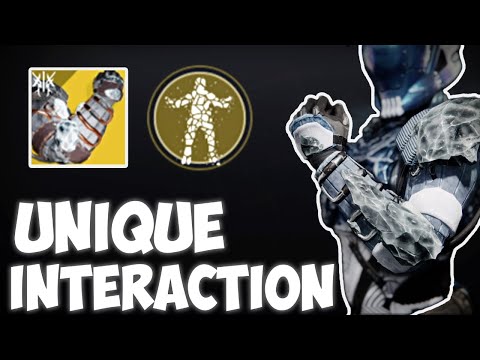 An Interaction You Probably Didn't Know About [Destiny 2]