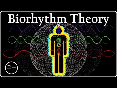 Biorhythm Theory: The Three Cycles Of Human Body And Mind | AH Documentary