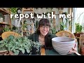REPOT WITH ME!  repotting new plants, & working with propagations