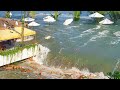Earthquake M8 1 Triggered The First Tsunami Wave That Hit North Island New Zealand