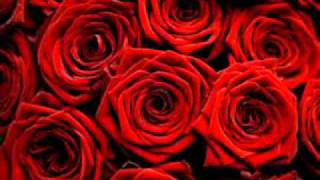 Red Roses For My Lady-Engelbert Humperdinck
