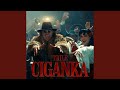 Ciganka