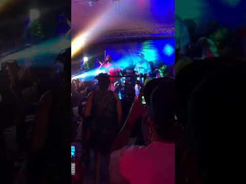 Will Scrilla Live 1 (N Position)