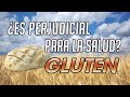 Inicio 3 Video thumbnail