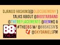 DJANGO HASKINS ON BIG STAR'S INFLUENCE ON REM, THE REPLACEMENTS & THE dbs (2014)
