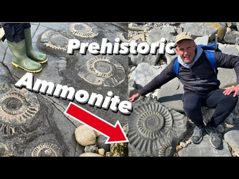 Prehistoric Ammonite Pavement And A Rock That Aroused Curiosity For Centuries!