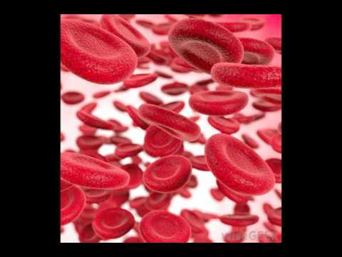 Details of blood rectifier tonic