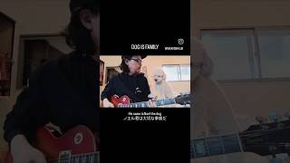 DOG IS FAMILY #弾き語り #ギター #guitar #music #rock #japan