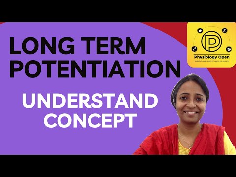 Long term potentiation learning and memory | synaptic plasticity |  CNS physiology mbbs 1st year