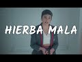 REYKO - Hierba Mala (Lyrics/Letra) (From Elite Season 4)