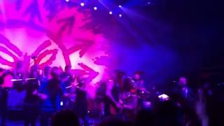 The Recruiting Sargent - The Levellers