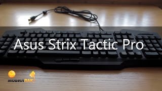 ASUS Strix Tactic Pro Keyboard (90YH0081-B2RA00) - відео 4