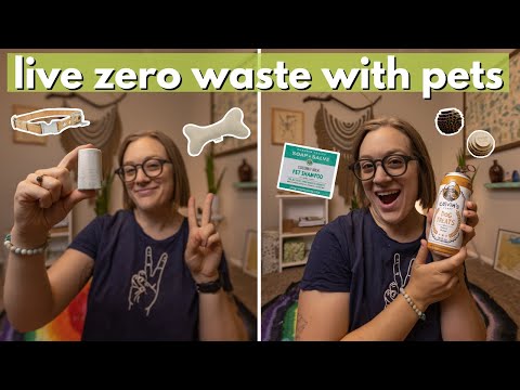 How to live ZERO WASTE WITH PETS! Eco-friendly dog and cat supplies + eco habits with pets