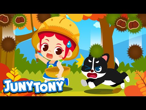 Fall is Here | Season Song for Kids | Kindergarten Song | Autumn Song | JunyTony