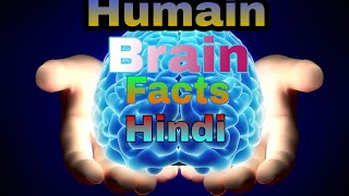preview picture of video 'Human brain amazing fact in Hindi (scientist vhai)#scientist vhai'