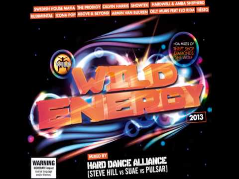 Sushi Brothers - Thrift Shop (Bass Crusaders Mix)