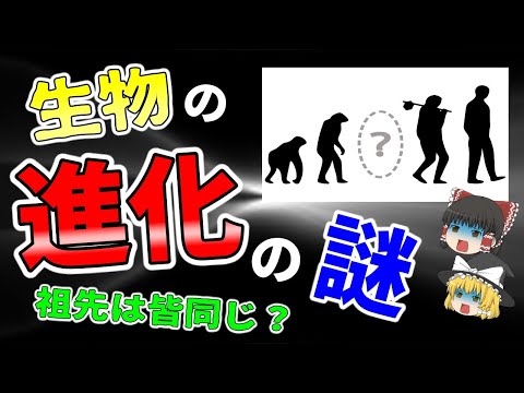鞭毛の進化について詳しく解説