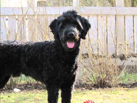 Riku - We just wanna make the world [DANCE] ~