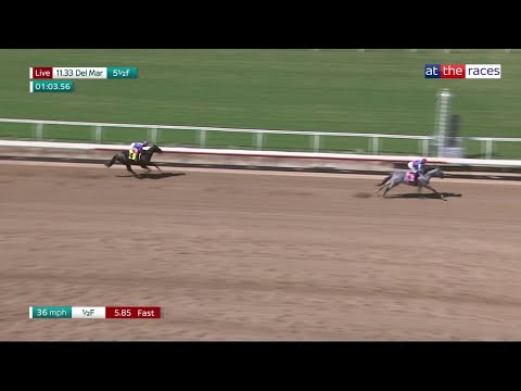 Record-breaking $3m colt BRANT is sensational on Del Mar debut!