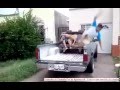 Algunos niños nacen para ser ágiles