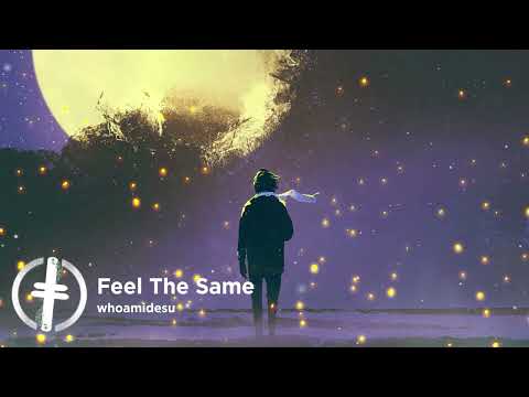 whoamidesu - Feel The Same | SIZELAND Release