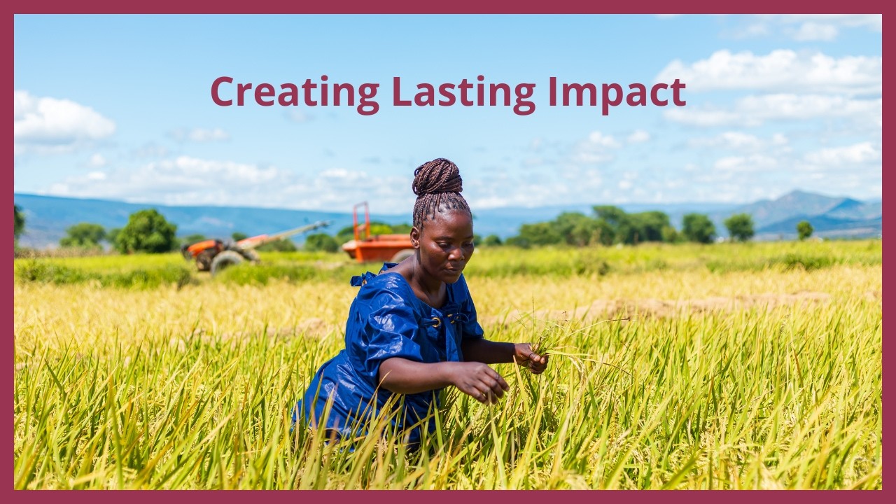 Transforming Food Systems in Tanzania: Women and Youth Driving Economic Development