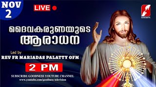 NOV 2|ദൈവകരുണയുടെ ആരാധന|Karuna kontha|FR MARIADAS PALATTY OFM|DIVINE ADORATION|Aradhana|GOODNESS TV