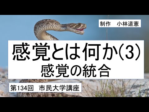 地域科学課程 感覚とは何か （３）ー感覚の統合ー