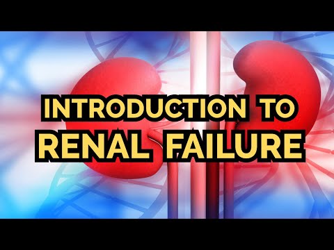 Introduction to Acute Renal Failure (updated 2023) - CRASH! Medical Review Series