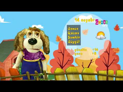 "Hava necə olacaq?" - 14 noyabr 2024-cü il