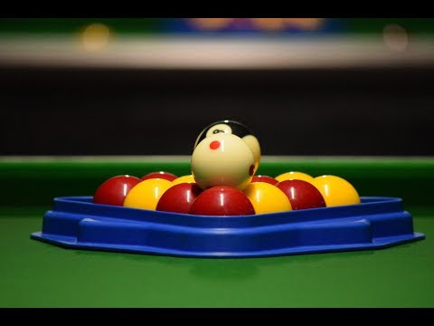 Shane Thompson vs Josh Corkett