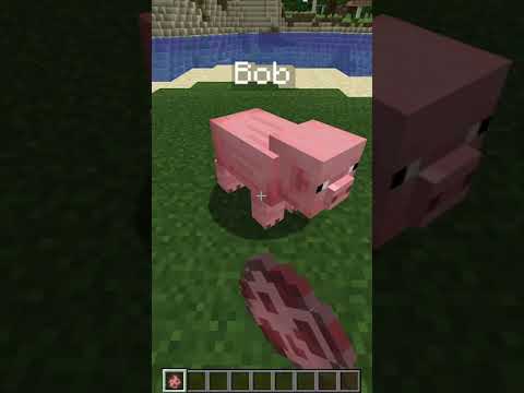 Minecraft Renaming Trick