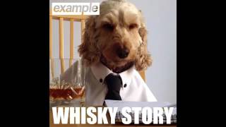 Example   Whisky Story Audio