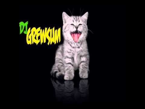 Beamer, Benz, N Bently Vs. Down Low (Mashup)