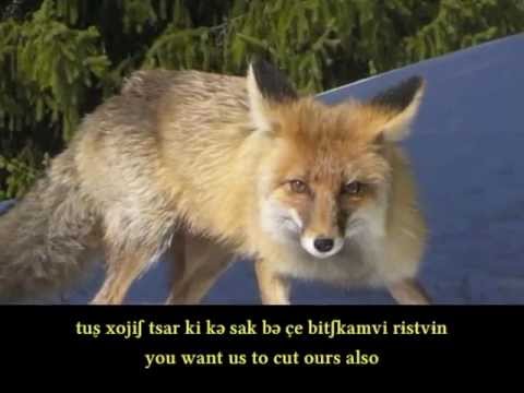 The fox without a tail - Wakhi