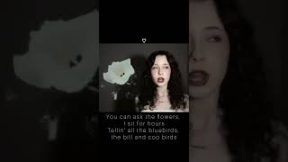 Download lagu I'm obsessed with this song from 1962// Pretty Little Baby Song by Connie Francis ‧ 1962 mp3