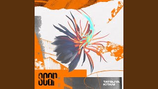 Tatsuya Kitani - Rapport (Scar Version)